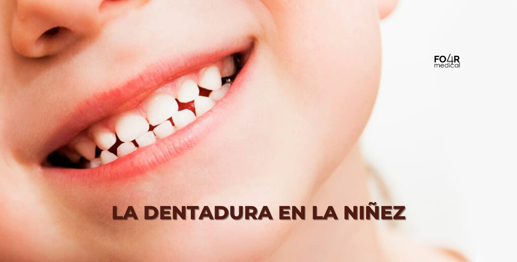 Dentadura durante la niñez